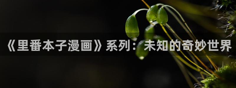 yy漫画6动漫：《里番本子漫画》系列：未知的奇妙世界