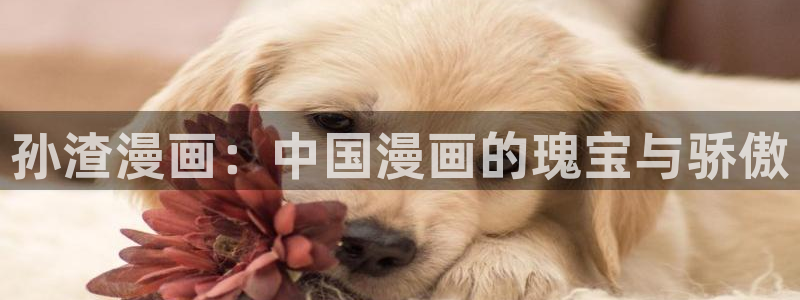 初犬yy漫画：孙渣漫画：中国漫画的瑰宝与骄傲