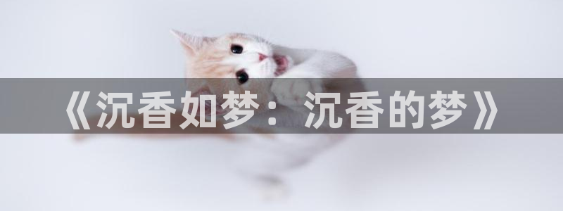 yy漫画斗罗大：《沉香如梦：沉香的梦》